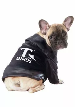 Rubies Costume Co. Inc Grease T-Birds Jacket Pet Costume
